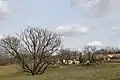 Gornje Leskovice - Panorama