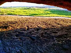 Rock art carvings