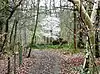 Harpsden Wood