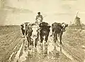 Early Start to Market, 1888, whereabouts unknown (stolen 1922 and never recovered)