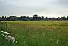 Hunsdon Mead