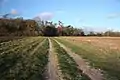 Icknield Way nearby