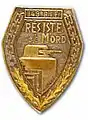 Insignia of the 149th RIF.