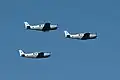 Beechcraft Bonanzas of 100 Squadron, flying on Independence Day 2023 over Israel
