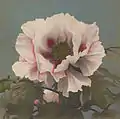Hand-colored collotype, 1896.