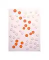 earthenware ceramic elements on wood, covered with Plexiglas