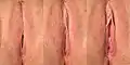 Labia majora still closed, then slowly opening
