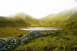 Grotões Pond