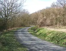 Brent Eleigh Woods