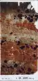Micromorphological thin-section Lst-10295.