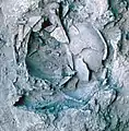 Burial 7. Excavation at exposition 10.