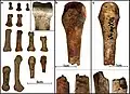 Burial 17 - Hand bones that were within the adult cranium. Possible perimortem fracture and bite marks.