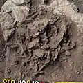 Burial 19. Excavation at phase 7.