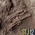 Burial 19. Excavation at phase 12.