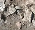 Burial 21 - Large blocks were on top of the skeleton