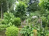 A verdant section of the gardens