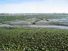 Chichester Harbour