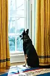 Major in the Oval Office in January 2021