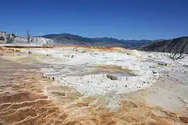 Crystallized calcium carbonate terraces
