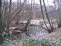 River Rother near Sheet Mill