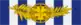 Military Valor Medal MOVM