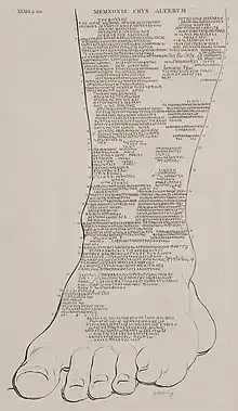 1743 transcription