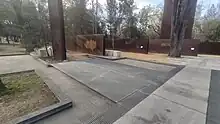 Multiple rusty stelae