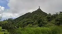 Mount Actaeon, topped by a Norfolk pine