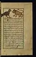 This folio from Walters manuscript W.659 depicts the second 2 carriers of the firmament (lion and vulture).