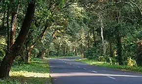 National Highway 717 at Lataguri