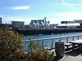 Newtown Creek Nature Walk: Whale Creek, sewage plant in distance