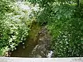Nine Mile Run crossing Claremont Road