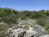 Northwest Looking View of the DNR Mesquite Bosque