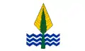 Old Flag of New Valley Governorate (2006-2016)