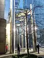 Outside view of canopy