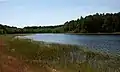 A Lobelian lake