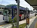 T119 bus at Entrance A.