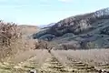 Paklje - panorama