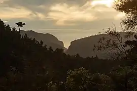 Pororari gorge