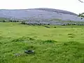 Pasture alongside Corker Pass road, Oughtmama Townland