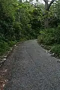 Paved road for climbing up to Cerro de Punta