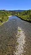 Piedra River just above Navajo Lake, below Colorado Highway 151