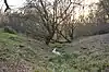 Plashes Wood