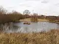 Pond