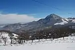 Tops of Great, Middle and Small Povlen