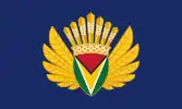 Presidential Standard of Guyana (2020–present) under President Mohamed Irfaan Ali