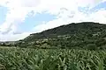 Ravnje - panorama
