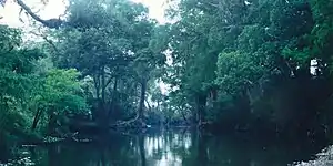 Río Sabinas, Municipality of Gómez Farías, Tamaulipas (15 April 2001).
