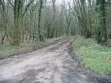 Lynsore Bottom