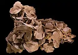 Desert rose, 47&nbsp;cm long